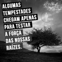 /album/galeria-de-fotos-ministerio-nossa-koinonia/a12006186-1059744794047127-8929256113913698045-n-jpg/